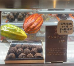 ギフトにオススメ♡アルカディア