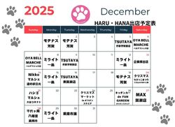12月の出店スケジュール♪