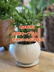 ４/２８月は１３時オープンです