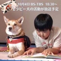 ✨ テレビ放送のお知らせ ✨