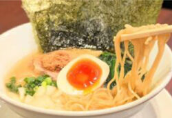 おすすめ人気豚骨煮干しラーメン✨