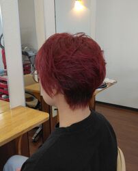 リーズナブルな価格でカットが♪ ◇豊富な経験を活かし、あなたをしっかり・丁寧にカット◇