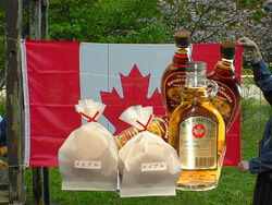 今週の週替りシューはコチラ！