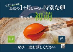 【大好評発売中!!】初うみ卵『初萌』✨️「箱庭たまご」の若鶏さんがうんだ今だけの贅沢✨️