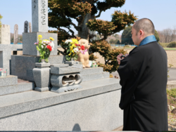 ペット供養の流れ