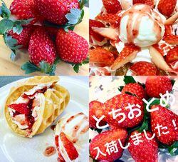 とちおとめのワッフル始まりました♪