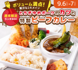 新イベント「週末限定ランチBOX」第一弾！『特製ビーフカレー』