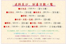 お安い送料で、地方発送、承ります！