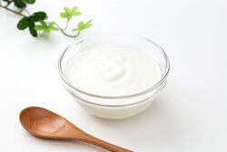 【発酵食品で始める自然な口臭対策〜高根沢町の安昇接骨院がお伝えする健康法】
