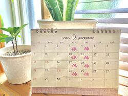 ▲▽　９月のお休み　▽▲