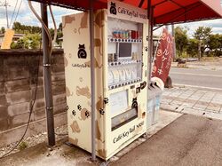 KeyTailは年中無休?!