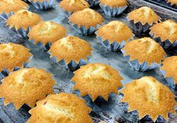 千手山ミニヨン