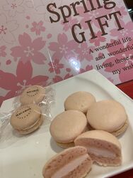 桜マカロン