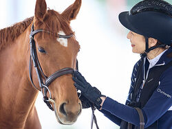 運命の出会いがあるかも！100頭の馬たち