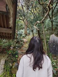 心のメンテナス
