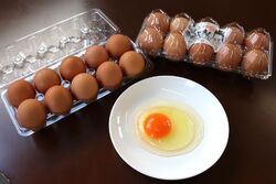 黄身じまんたまご