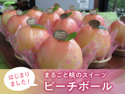 今月のおすすめ