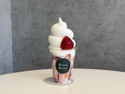 今月のおすすめ