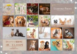 UCHUNOKO PHOTOキャンペーン