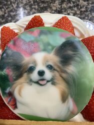 イラストケーキ