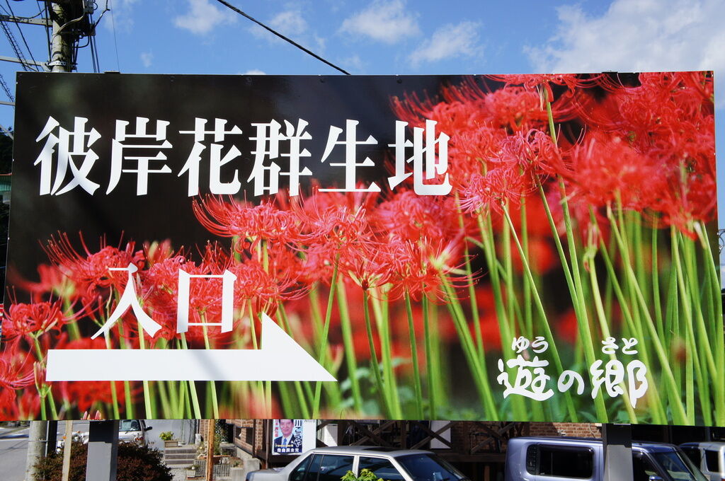 遊の郷 彼岸花群生地 鹿沼市の植物園 花 栃ナビ