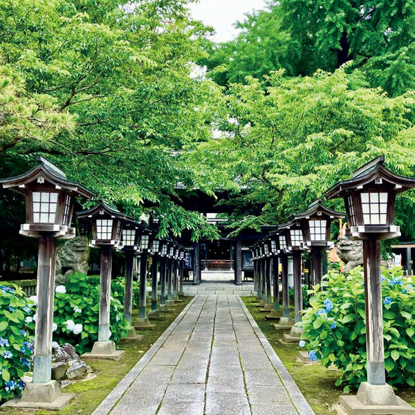 さくら・芳賀エリアの神社・仏閣めぐり|初詣・開運に人気のスポット
