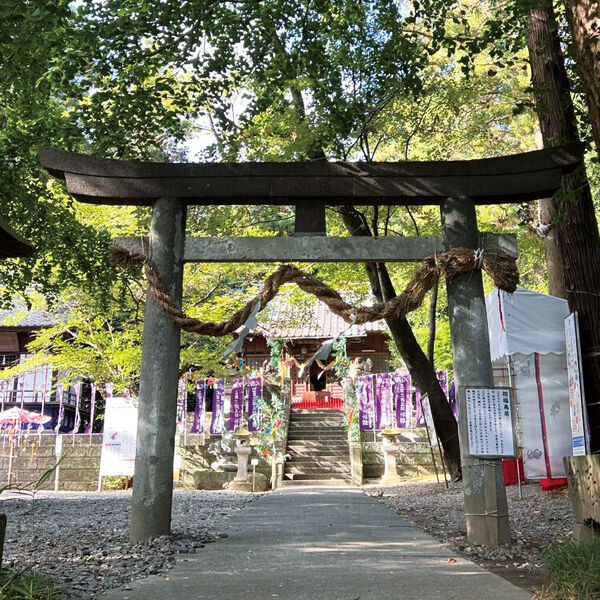 下野・壬生・上三川の神社・仏閣めぐり|初詣・開運に人気のスポット