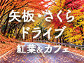 【矢板・さくらドライブ】紅葉・絶景・グルメを楽しむ秋めぐり25選