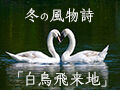 冬の風物詩「白鳥飛来地」★栃木県内で白鳥が見られるスポット5選