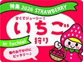 春のお出かけにピッタリ♪栃木のいちご狩り特集2026☆