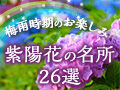 梅雨時期のお楽しみ★紫陽花(あじさい)の名所26選