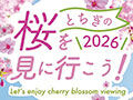 栃木の桜を見に行こう♪お花見特集2026