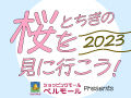 栃木の桜を見に行こう♪お花見特集2023