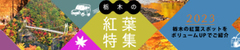 紅葉特集2022