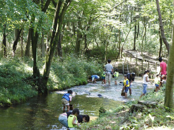 公園 川 栃木のプール 水遊びスポット22 栃ナビ