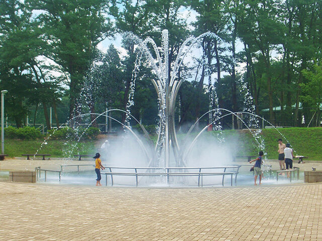 公園 川 栃木のプール 水遊びスポット21 栃ナビ