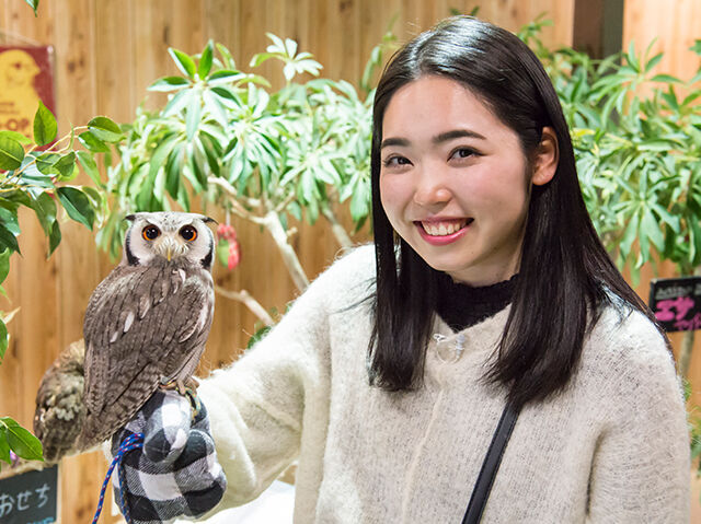 足利 どうぶつがいるカフェへドライブ 2ページ ネッツンドライブ 栃ナビ