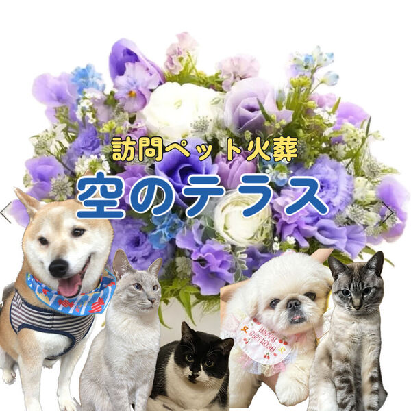 訪問ペット火葬 空のテラス