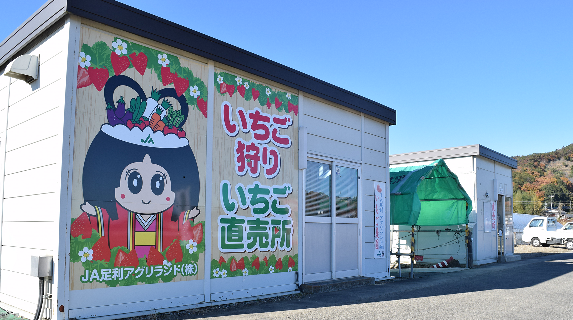 JA足利アグリランド いちご農園