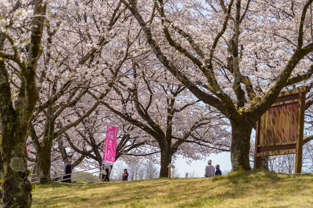 氏家ゆうゆうパーク