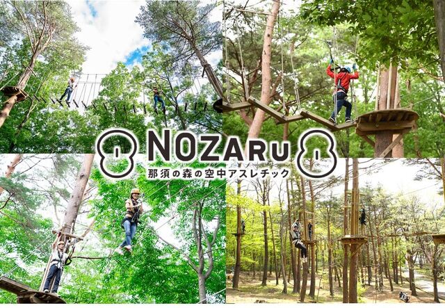 那須の森の空中アスレチック『NOZARU』