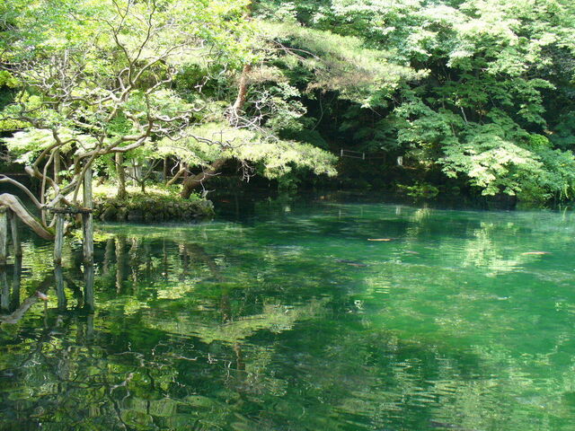 出流原弁天池