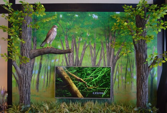 道の駅サシバの里 いちかい