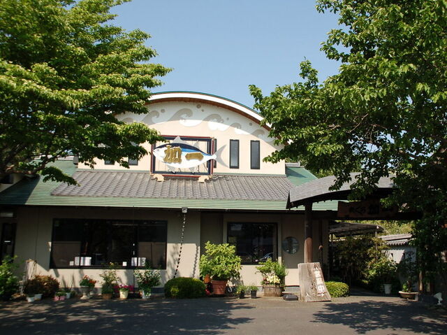 まぐろ丼　加一