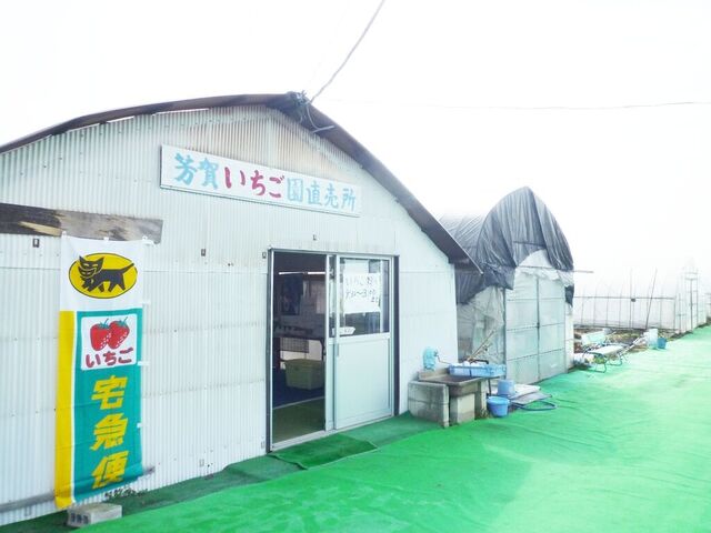 芳賀いちご園