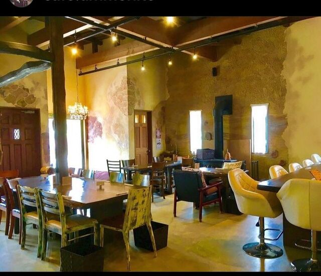 器カフェ アンモナイト