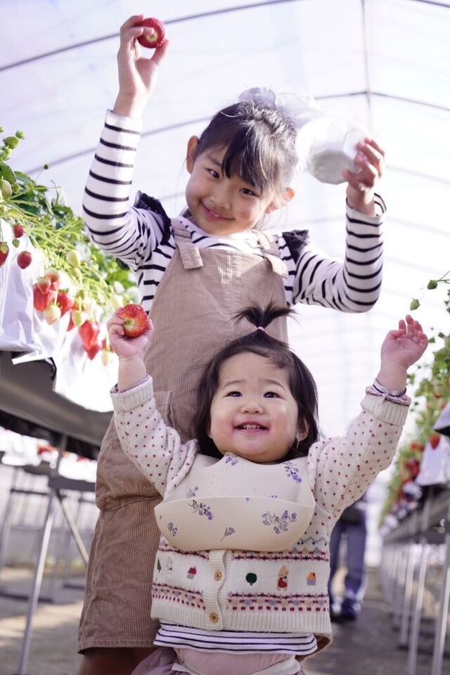 井頭観光いちご園