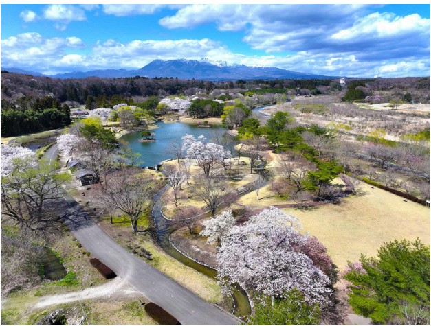 鳥野目河川公園オートキャンプ場