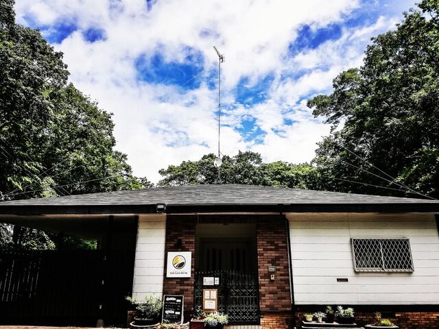 森の中のお野菜レストラン クオーレ デルソル