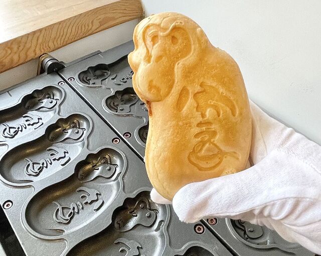 にほんかし 雲IZU日光店